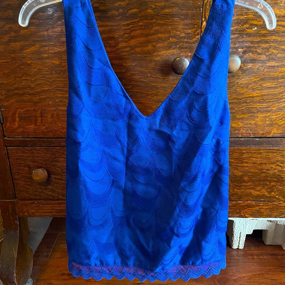 Blue Blouse - Picture 2 of 3